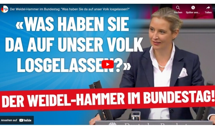 Der Weidel-Hammer im Bundestag: "Was haben Sie da auf unser Volk losgelassen?"